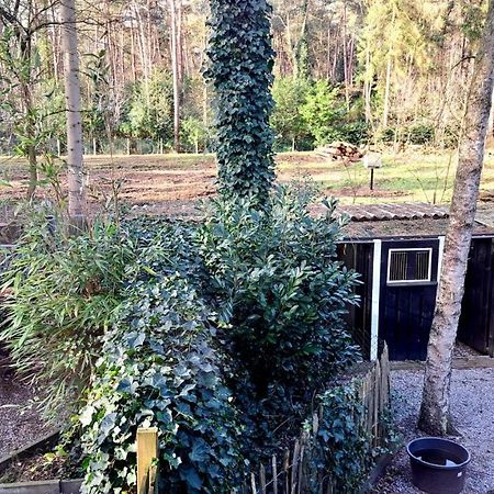 Comfortable Chalet In A Unique Location In Forest Essen Zewnętrze zdjęcie