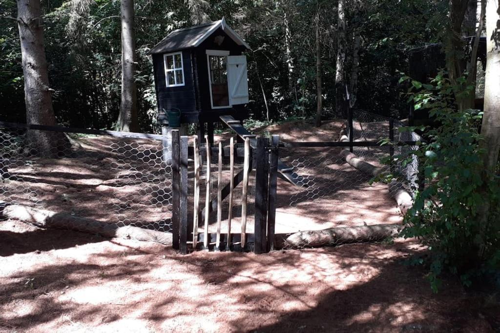 Comfortable Chalet In A Unique Location In Forest Essen Zewnętrze zdjęcie